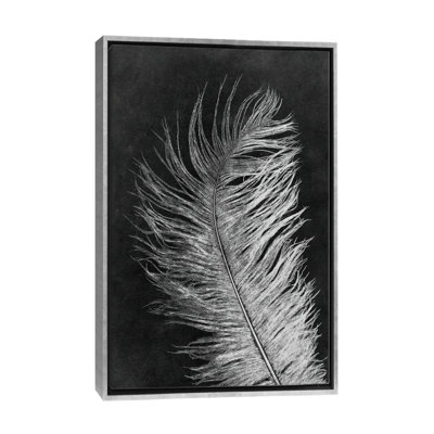 «Feather III Dark», reproduction d'art murale encadrée