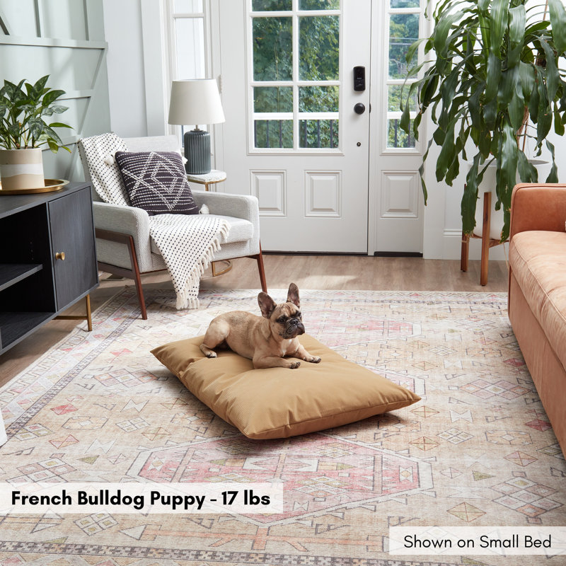 Lit pour chien en velours côtelé Gladmir, H 4 po x l 36 po x P 24 po, Buff