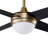 52-Inch Smart Ceiling Fan With LED Light Kit & Wall Control, Works With Alexa/Google Home/Siri, Indoor-1966182358-1989360892