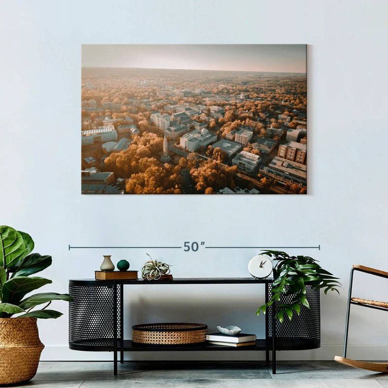 Harpa UNC Campus Aerial View, 30" H x 45" W
