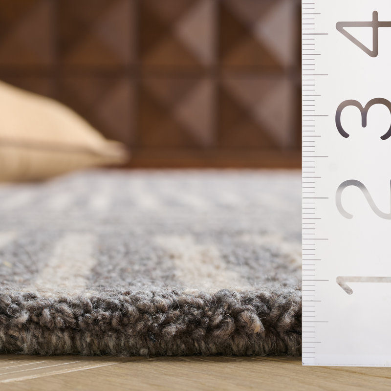 Tapis ivoire / gris foncé touffeté à la main Stockton, Rectangle 4 pi x 6 pi