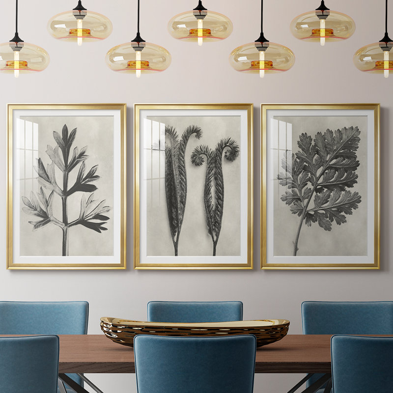 Blossfeldt Botanical I - reproduction sur mesure encadrée de qualité supérieure - 3 pièces, H 19 po x l 27 po, Doré