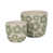 Green/Ivory