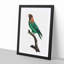 Caica Parrot by F. Levaillant - Picture Frame Painting Print-55513964-55513963