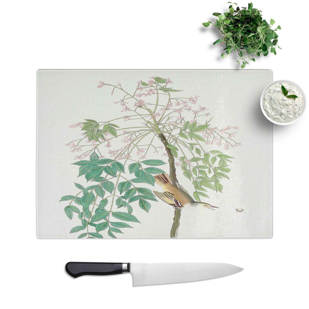 Tempered Glass White-Eyed Flycatcher Bird by John James Audubon Chopping Board