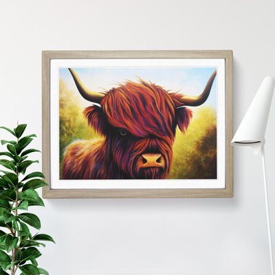 A Highland Cow - Single Picture Frame Print