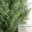 120cm Tree