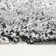 Tapis noir/blanc Quinnville
