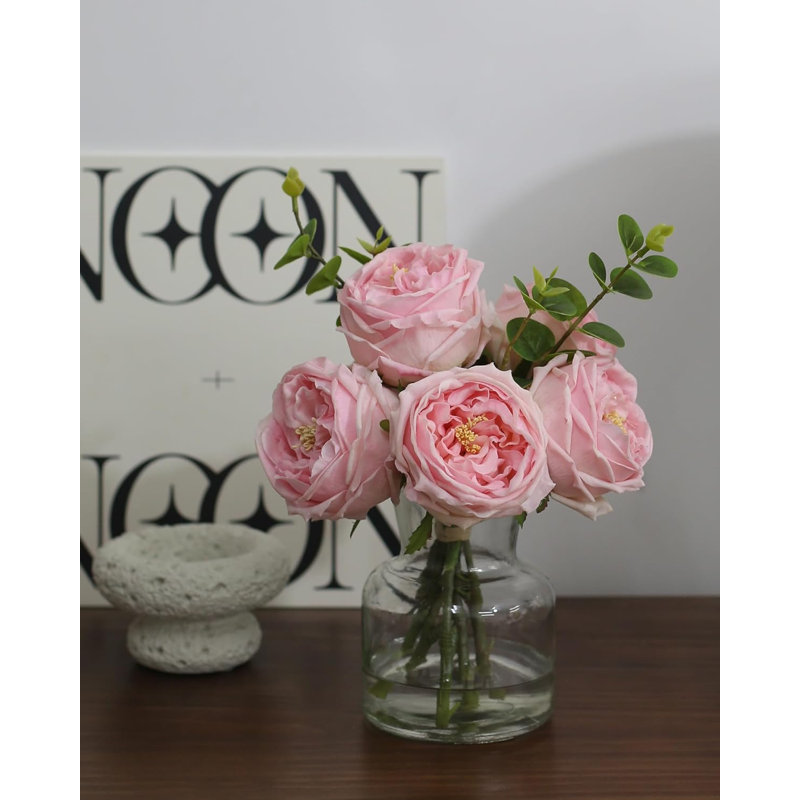 Plante de 13 po, Rose