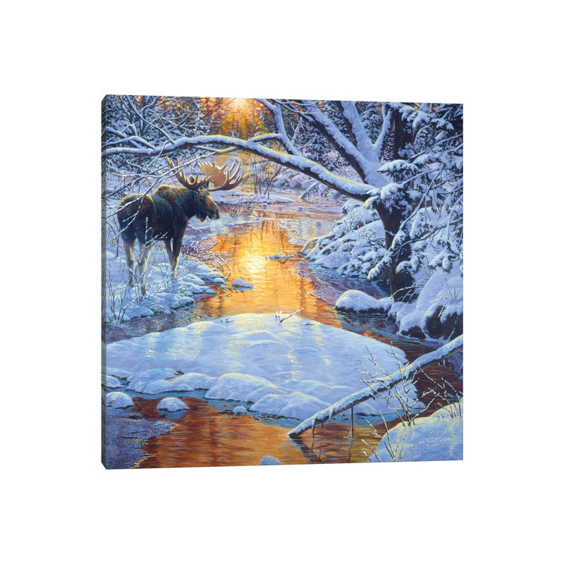 Moose XXIX 1 Piece Wrapped Canvas Painting, 30.48 cm H x 30.48 cm W