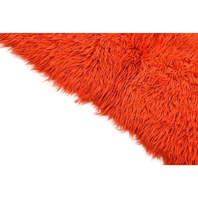 Iraheta Orange Rug