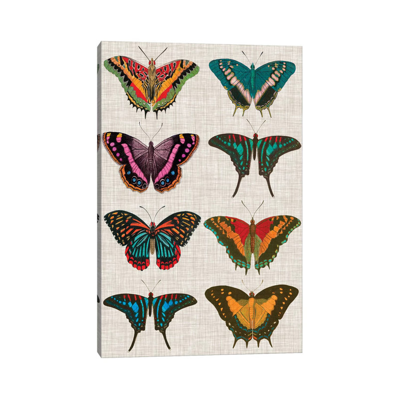 Polychrome Butterflies II by Vision Studio - Wrapped Canvas Painting, 20.32 cm H x 30.48 cm W