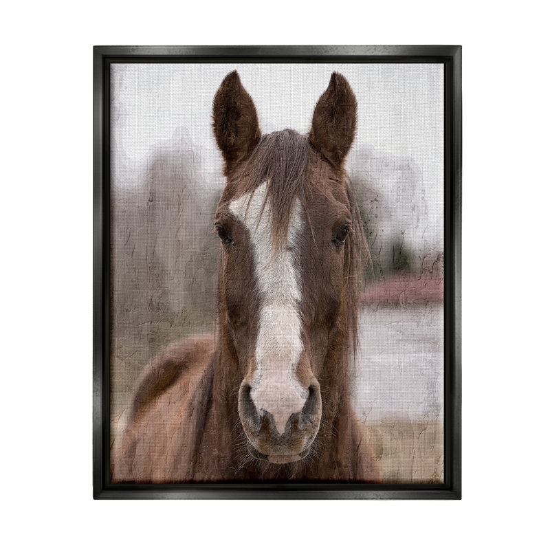 Portrait de cheval Colt, H 21 po x l 17 po x P 1,7 po, Cadre flottant noir de jais