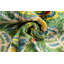 Velvet Lumbar Pillow Cover & Insert-292865328