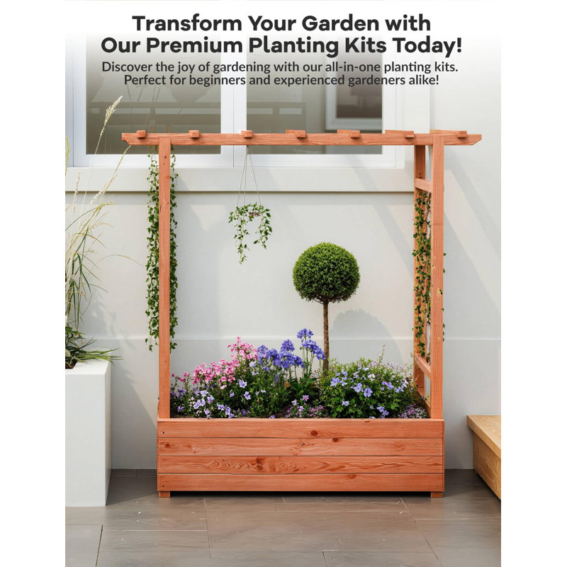 Planter, 116cm H x 110cm W x 44cm D
