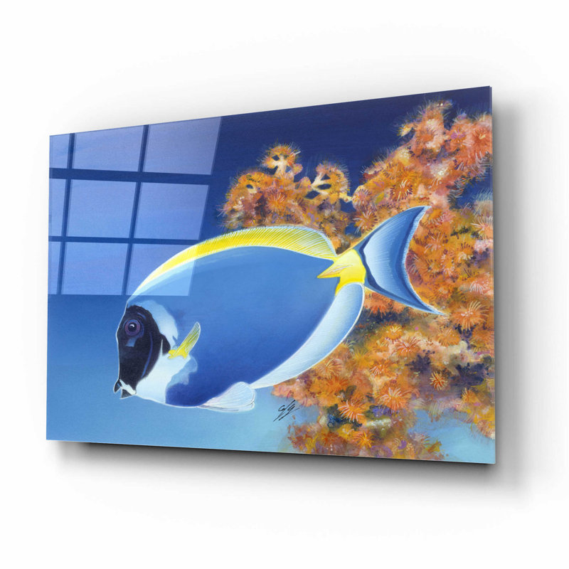 Dovecove 'Powder Blue Tang' By Durwood Coffey, Acrylic Glass Wall Art,, H 12 po x l 16 po x P 0,2 po