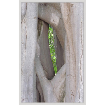 «Natural Texture Series», reproduction de photo encadrée sur verre 6 pi