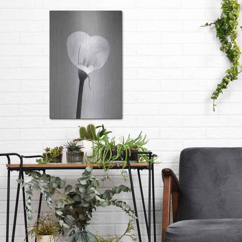 «Calla No. 2» par Photoinc Studio, art mural en métal, H 16 po x l 12 po