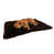 Chocolat noir est en rupture de stock