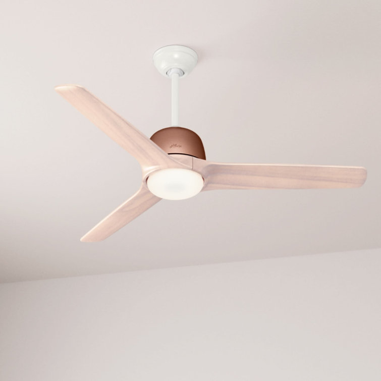 54" Norden 3 - Blade LED Standard Ceiling Fan with Remote Control and Light Kit Included