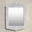 Ren Botanic Bone Inlay Traditional Distressed Accent Mirror-1696650711