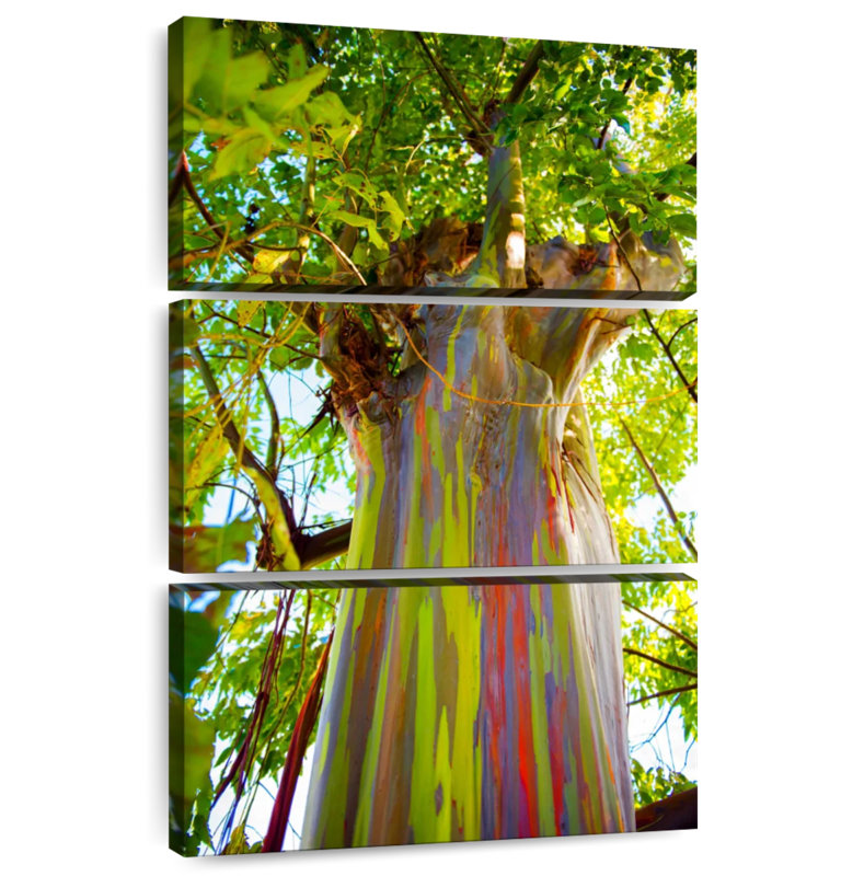 Harnek Rainbow Tree Trunk, 32" H x 20" W