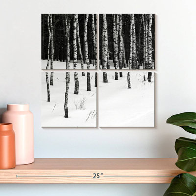 Harnek Birch In Snow
