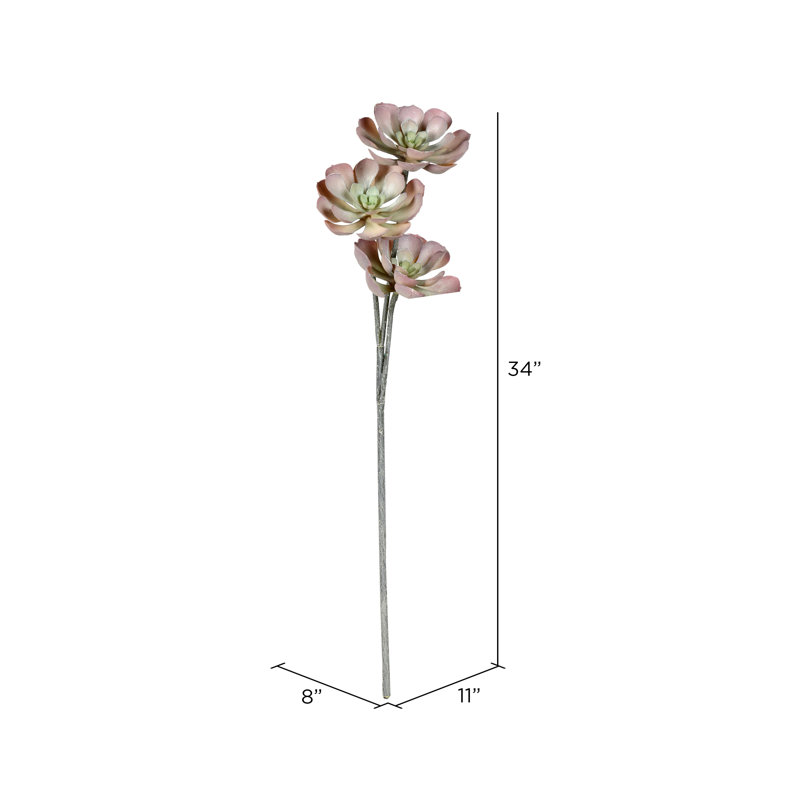 Artificial Apple Peperomia Spray, Brown