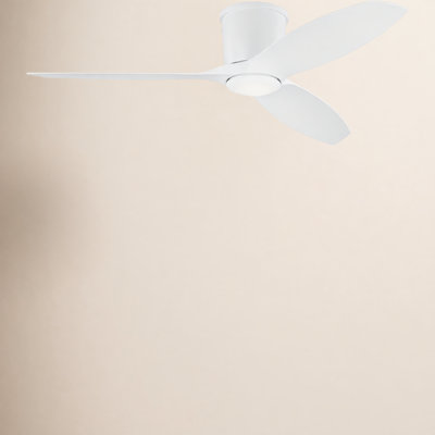 Aisling Ceiling Fan with LED Lights