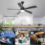 Ceiling Fan