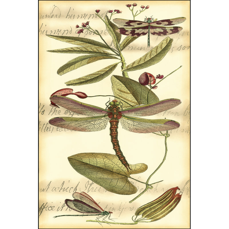Printed Dragonfly Gathering II by Vision Studio - Wrapped Canvas Art Prints, 122cm H x 81cm W x 3.8cm D