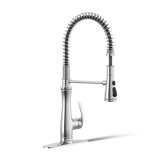 Bellera® Pull Down Single Handle Kitchen Faucet