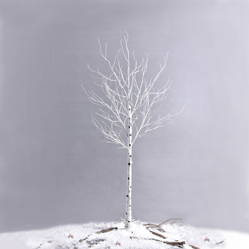Lighted Trees & Branches, 48" H x 7" W x 7" D