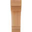 Corbeau Pescadero-1571285311-1571285246-1571285244