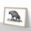 Striped Hyena in Black & White by George Shaw - Framed Print-55615499-55615500