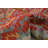 Hand Knotted Wool Moroccan Rug