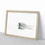 Polar Bear Swimming - Picture Frame Painting Print-55601696-55601701