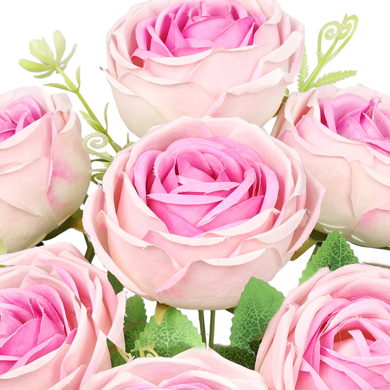 Rosiers Torres, Rose, lavande