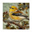 Art sur toile Andrea Lavery Goldie-1190390818