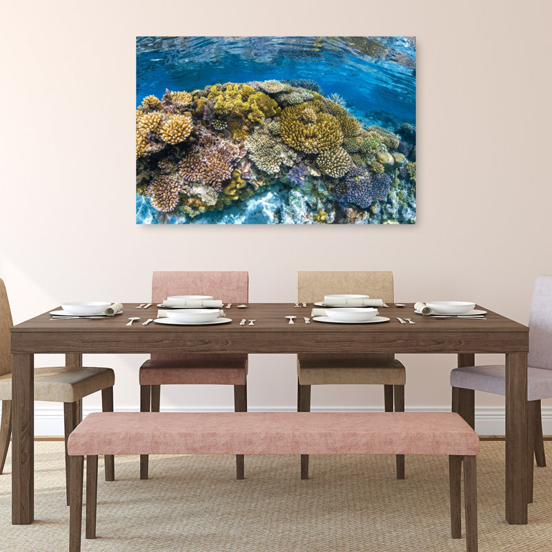 Impression murale Panoreef Ocean Tropical, H 32 po x l 48 po