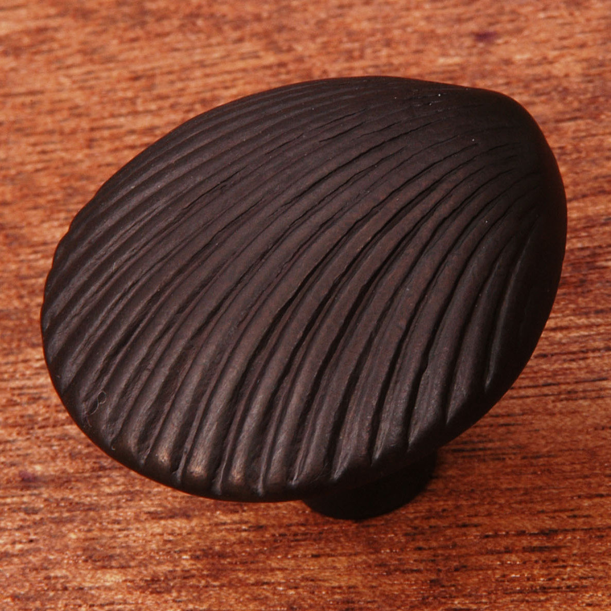 CK Series Shell Cabinet Knob, Oil Rubbed Bronze