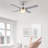 Edelbert 52'' Ceiling Fan with LED Lights-1833187480-1833187484