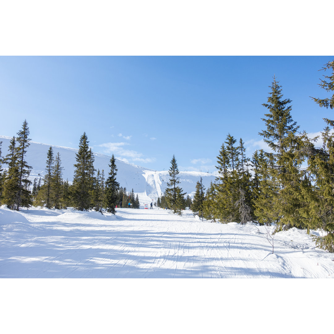 Winter Sport In Springtime von Martin Wahlborg - Druck auf Leinwand ohne Rahmen