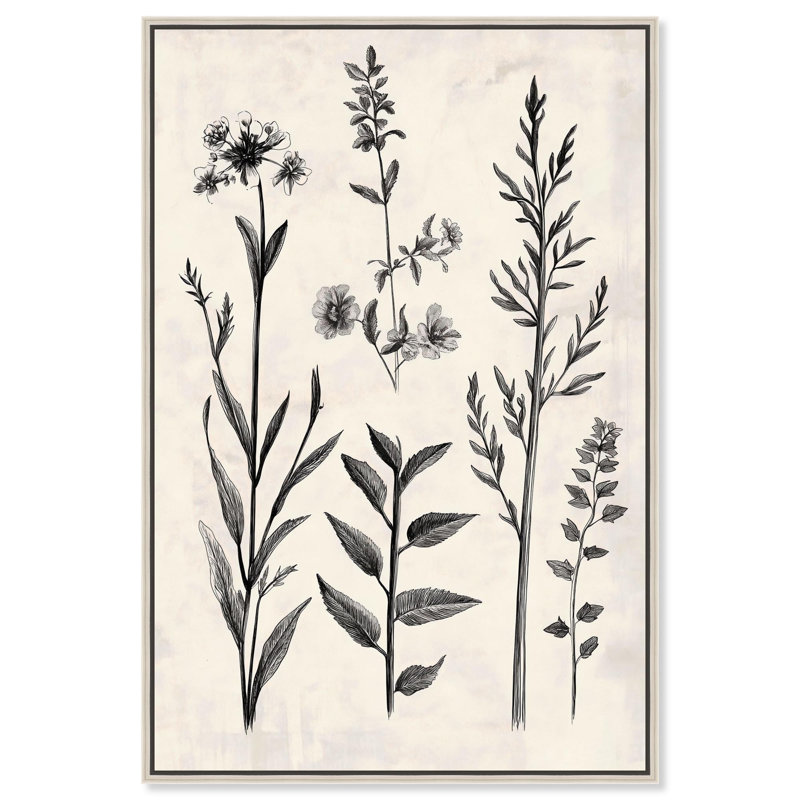 Décoration murale "Meadow Herbs II" par Art Remedy, cadre argenté, 20 x 30, H 31 po x l 21 po, Cadre argenté