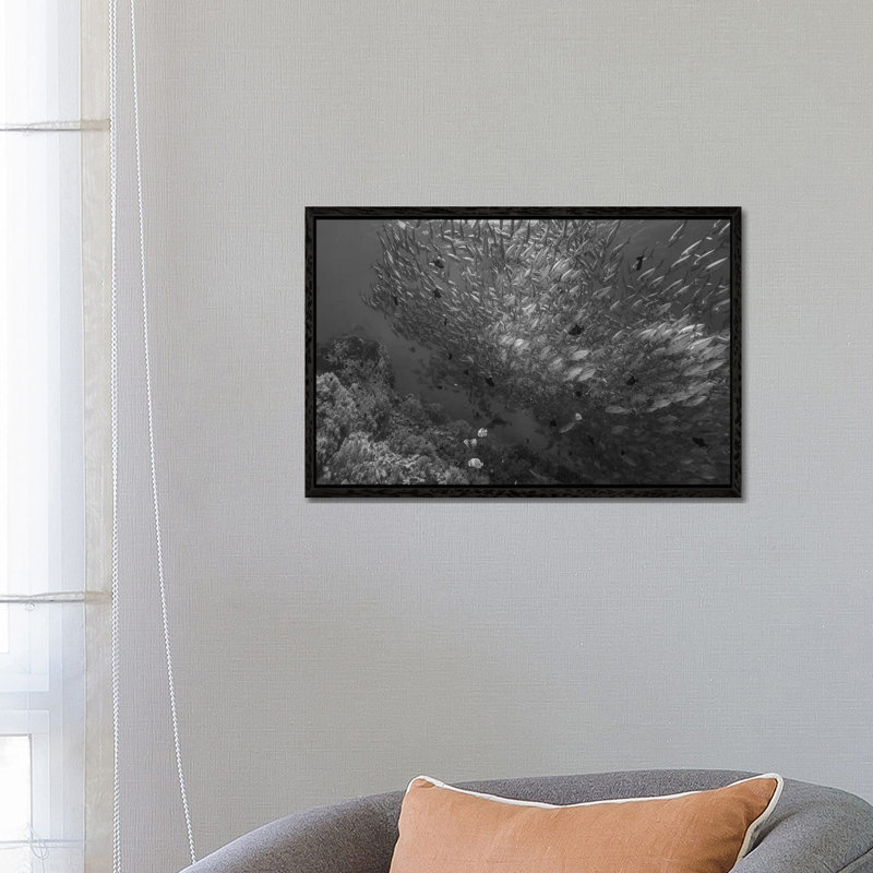 Cavalla School And Butterflyfish, Balicasag Island, Philippines by Tim Fitzharris - Gallery-Wrapped Canvas Giclée on Canvas