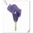 20 pièces de fleurs de lys Calla-945559910