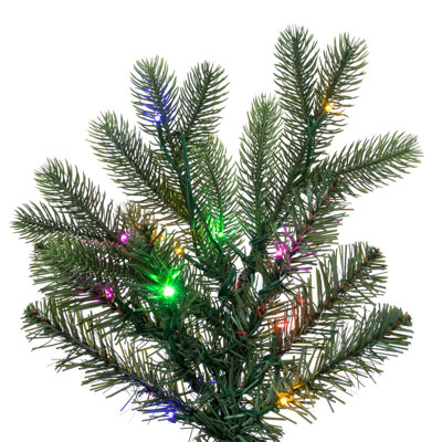 Sapin de Noël Douglas