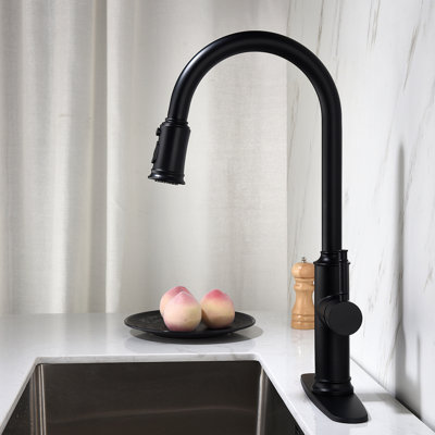 Kitchen Faucet With Pull Out Sprayer