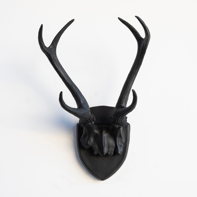Décoration murale faux bois de cerf naturalisés, Noir