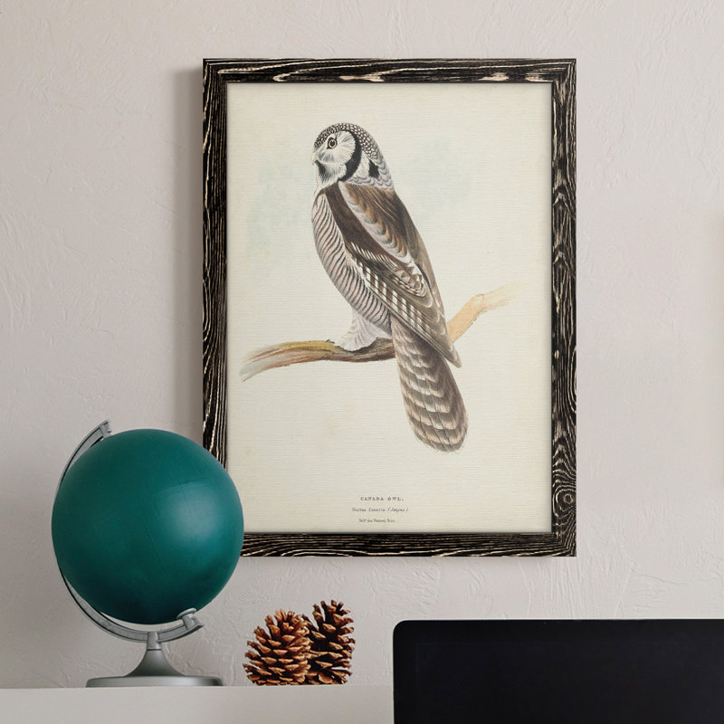Toile encadrée de qualité supérieure Canada Owl - prête à être accrochée, Érable, H 24 po x l 20 po x P 1 po